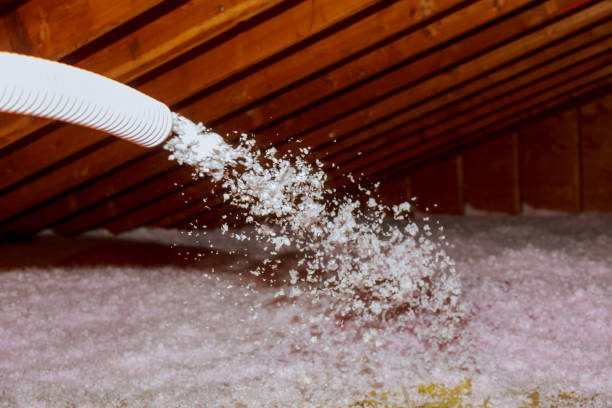 Best Specialized Insulation Services in West Milton, OH