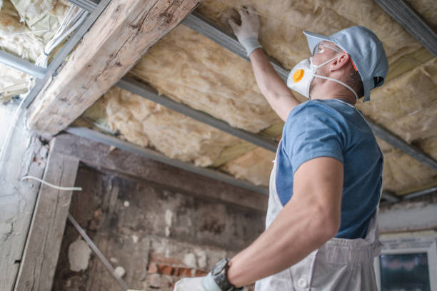 Best DIY Insulation Kits and Guidance in West Milton, OH